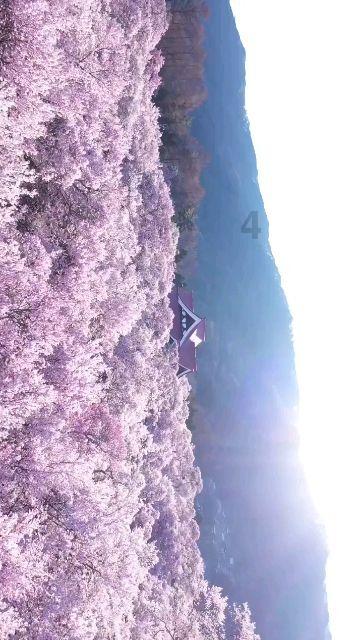 板栗如何存放游戏画面